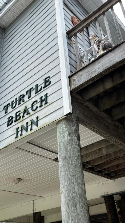 Turtle Beach Inn Indian Pass Экстерьер фото